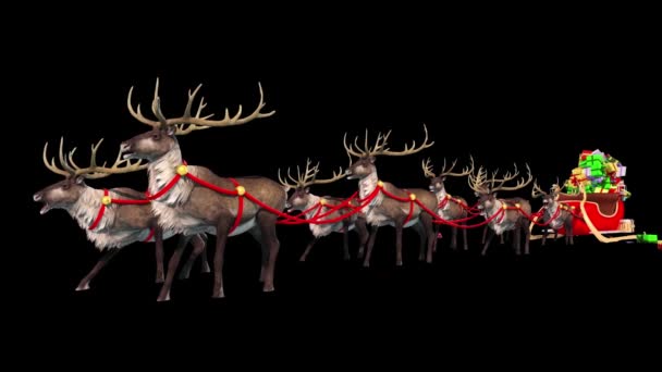 Karácsonyi Rénszarvas Alpha Matte Renderelés Animáció — Stock videók