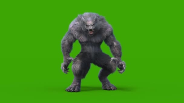 Hombre Lobo Piel Oscura Pantalla Verde Die Front Representación Animación — Vídeo de stock