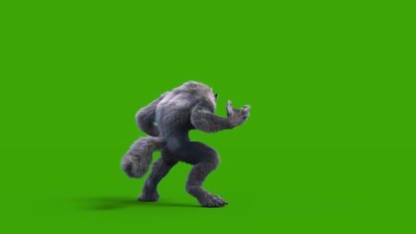 Werewolf Dark Fur Green Screen Атакует Боковую Петлю Rendering Animation — стоковое видео