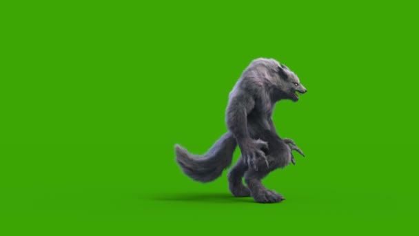Ihmissusi Tumma Turkis Vihreä Näyttö Kuolee Puolella Tekee Animaatio Kauhu — kuvapankkivideo