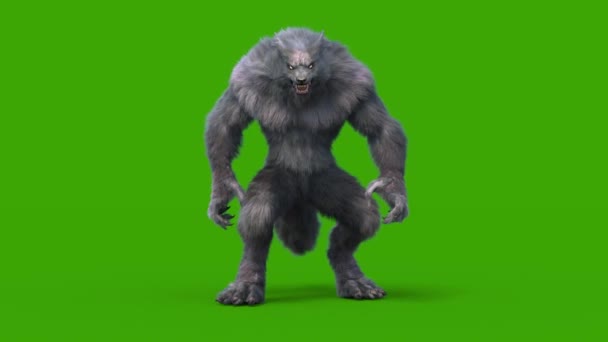Werewolf Dark Fur Green Screen Idle Front Loop Rendering Animation — стоковое видео