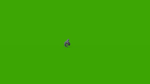 Λυκάνθρωπος Σκούρα Γούνα Πράσινη Οθόνη Τρέχει Μπροστά Αποτύπωση Animation Απόκριες — Αρχείο Βίντεο