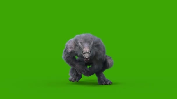 Werewolf Dark Fur Green Screen Runcycle Front Loop Rendering Animation — стоковое видео