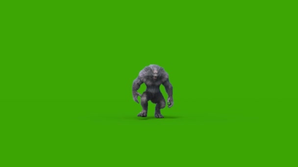 Ihmissusi Tumma Turkis Vihreä Näyttö Kävelee Edessä Tekee Animaatio Kauhu — kuvapankkivideo