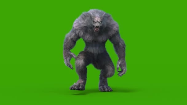 狼人黑暗毛皮绿色屏幕步行机前圈3D渲染动画恐怖 — 图库视频影像