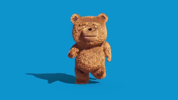Teddy Bear Real Futro Runcycle Front Blue Screen Loop Odwzorowania — Wideo stockowe