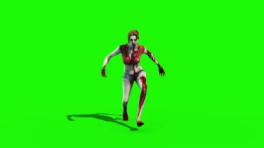 Zombi Kadın Yürüyen Yeşil Ekran 3B Canlandırma