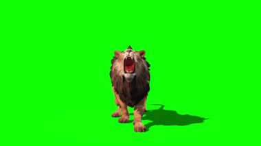 Aslan Saldırıları Öndeki Döngü 3B Canlandırma