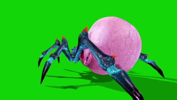 Spider Zombie Atakuje Powrót Zielony Ekran Rendering Animacja — Wideo stockowe
