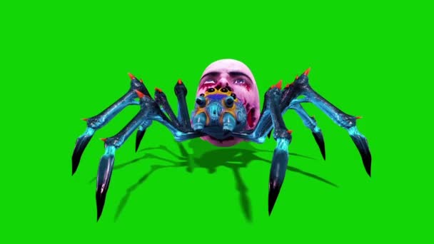 Spider Zombie Attacca Schermo Verde Anteriore Rendering Animazione — Video Stock