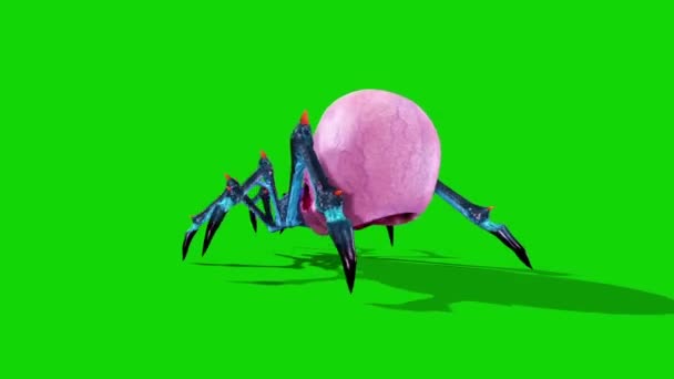 Spider Zombie Muere Detrás Pantalla Verde Rendering Animation — Vídeo de stock