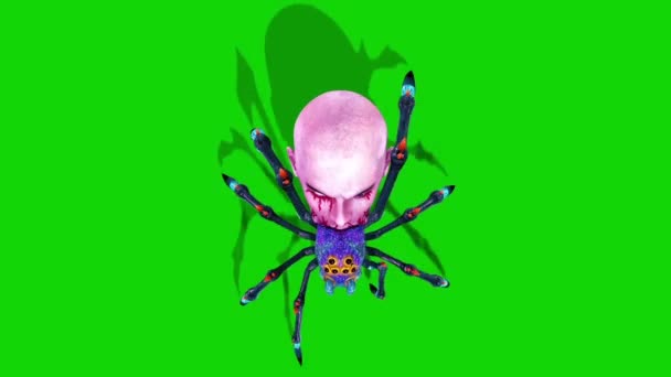 Spider Zombie Walkcycle Loop Top Green Screen Rendering Animation — Stok Video