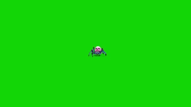 Spider Zombie Walks Front Green Screen Rendering Animation — Stock Video