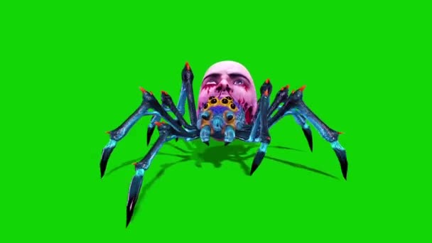 Spider Zombie Walkcycle Loop Front Green Screen Animation Rendu — Video