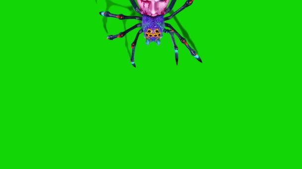 Spider Zombie Spacery Top Zielony Ekran Renderowania Animacji — Wideo stockowe