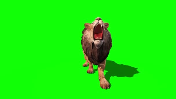 Lion Attacks Close Front Loop Animation Rendering Lizenzfreies Stock-Filmmaterial