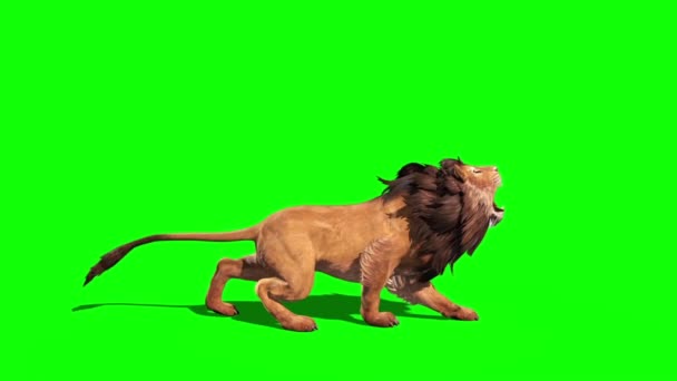Leul Atacă Buclă Laterală Animație Rendering Secvență video de stoc fără drepturi de autor