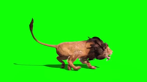 Lion Ejecuta Renderizado Animación Lazo Lateral — Vídeo de stock
