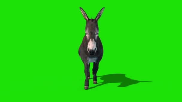 ドンキー動物ウォークサイクルグリーンフロントループ3Dレンダリングアニメーション — ストック動画
