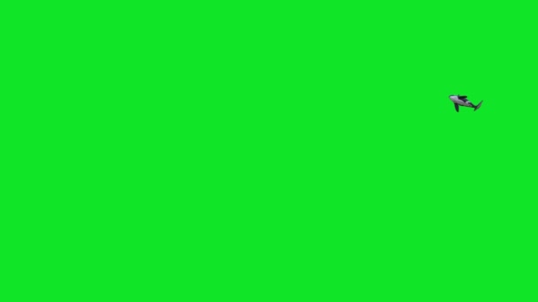 Orca杀手鲸游动绿色屏幕3D渲染动画4K — 图库视频影像