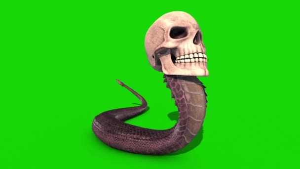 Snake Skull Crawlcycle Green Screen Loop Rendering Animatie — Stockvideo