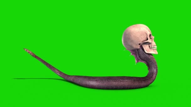 Crâne Serpent Crawlcycle Green Screen Loop Side Animation Rendu — Video
