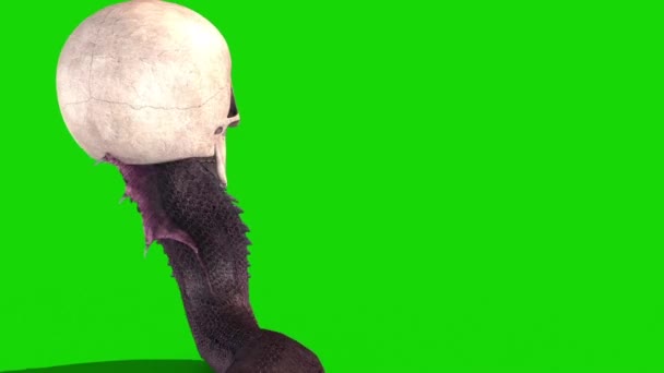 Зміїний Череп Повзає Зелений Екран Назад Рендеринга Анімація — стокове відео