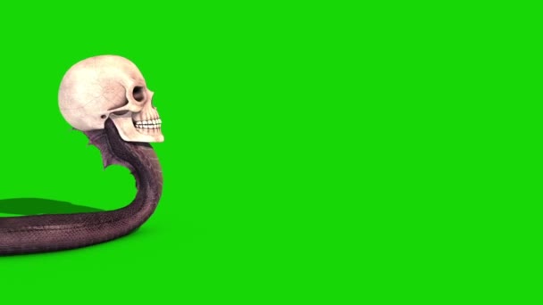 Caveira Serpente Rasteja Lado Verde Tela Renderização Animação — Vídeo de Stock