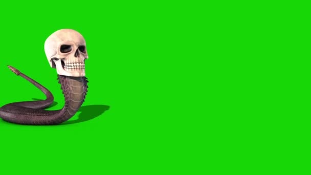 Snake Skull Crawls Green Screen Front Rendering Animation — Stock Video