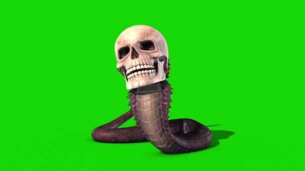 Snake Skull Idle Green Screen Loop Rendering Animation — стоковое видео