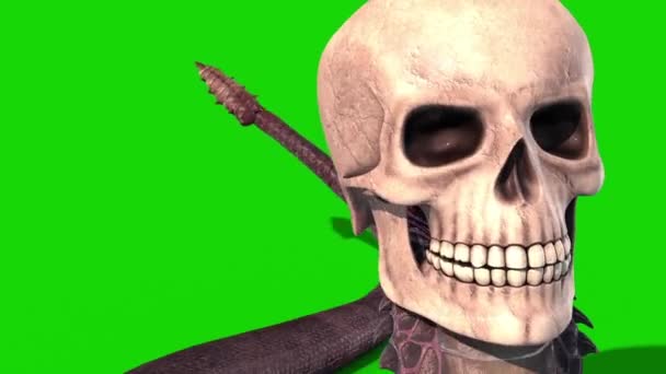 Crâne Serpent Crawlcycle Green Screen Loop Viper Animation Rendu — Video
