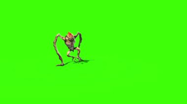 Canavar uzaylı uzun bacak yürüyor açık 3d animasyon yeşil ekran