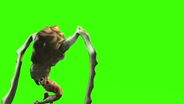 Monstruo Alien Pierna Larga Camina Hacia Atrás Animación Pantalla Verde — Vídeo de stock