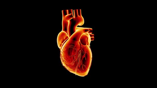 Heart Ecg Hologram Monitor Loop Rendering Animation Stok Video Bebas Royalti