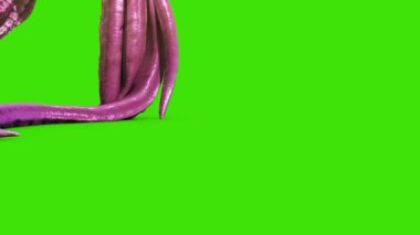 İki Canavar Dokunaçları Saldırısı Döngü Kenarı Yeşil Ekran 3B Canlandırma