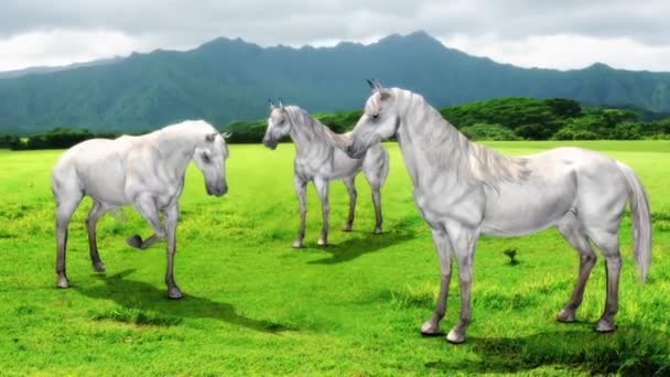 White Horse Prairie Animals Animated Background Rendering Animation Стоковый Видеоролик