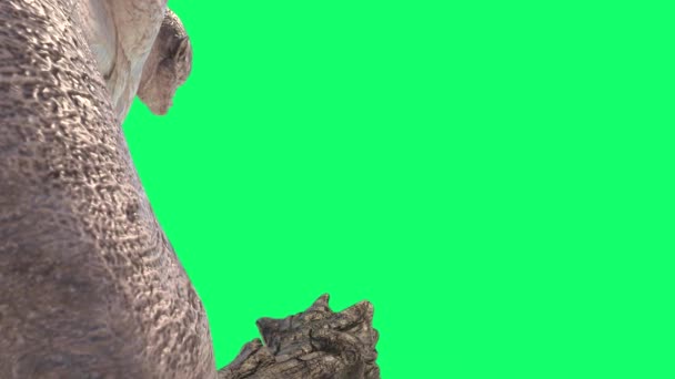 Cyclops Monster Green Screen Walks Back Rendering Animation — Stock videók