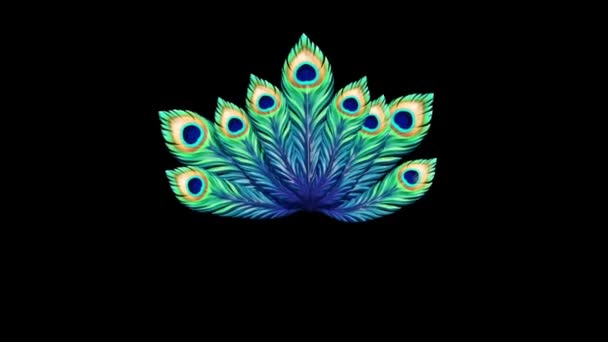 Peacock Feathers Multicolor Alpha Matte Rendering Animation Royalty Free Stock Video