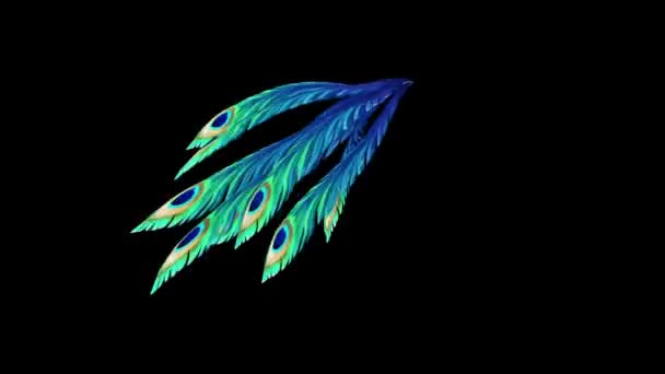 Plumas Pavo Real Silueta Multicolor Run Alpha Matte Rendering Animation — Vídeos de Stock