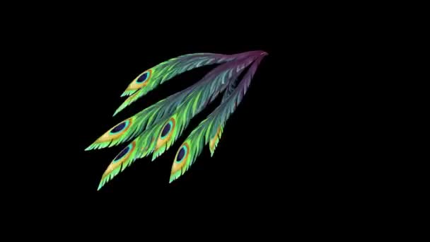 孔雀羽毛轮廓运行阿尔法Matte 3D渲染动画 免版税图库视频片段