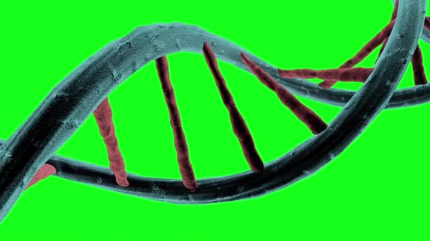 Генетический Код Днк Структура Двойной Спиральный Зеленый Экран Стоковое Видео