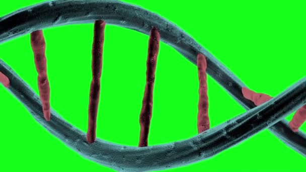 Genetischer Code Dna Struktur Double Helix Long Green Screen lizenzfreies Stockvideo