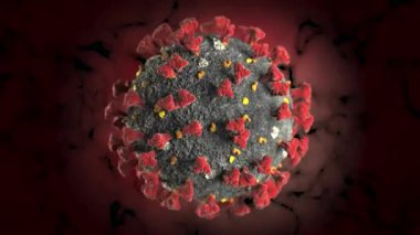 Coronavirus 2019-nCoV Wuhan 4K Virüsü 3D Canlandırma