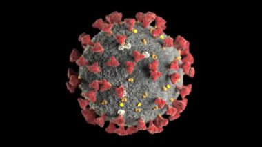 Coronavirus 2019-nCoV Wuhan Alpha Matte 4K Virüs 3D Canlandırma