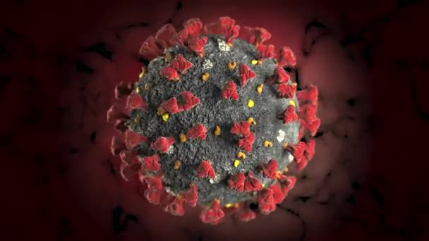 Coronavirus 2019 Ncov Wuhan Virus Rendering Animaatio — kuvapankkivideo