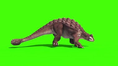 Ankylosaurus Dinozorları Öldü 3D Animasyon Yeşil Ekran Jurassic Park