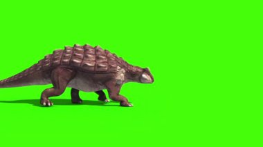 Ankylosaurus Dinozorları Yana Yürür 3D Animasyon Yeşil Ekran Jurassic Park