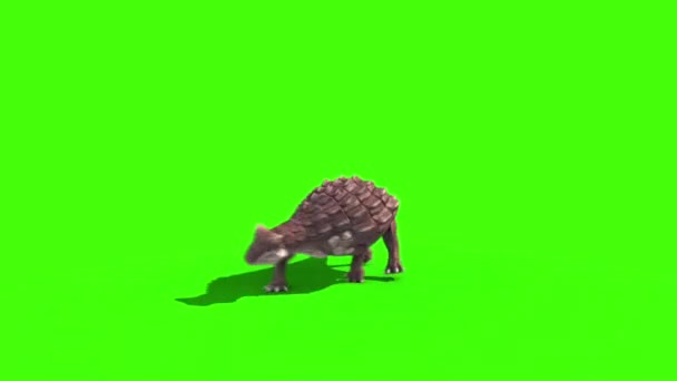 Ankylosaurus Dinosaurus Attack Loop Back Animation Green Screen Jurassic Park — Stok Video