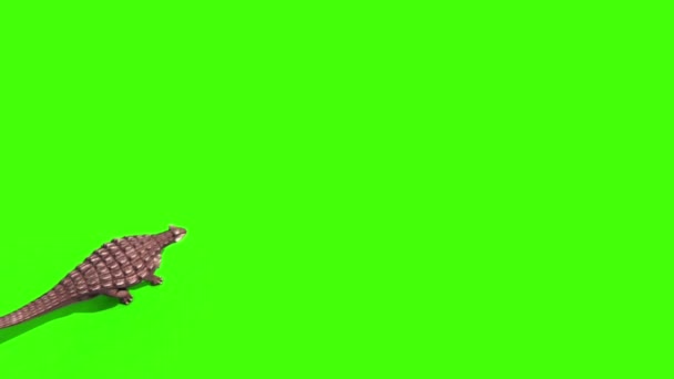 Ankylosaurus Dinosaurs Run Top Animation Green Screen Jurassic Park Стоковое Видео