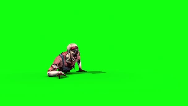 Разбитый Зомби Crawler Front Green Screen Horror Halloween Rendering Animation Стоковое Видео